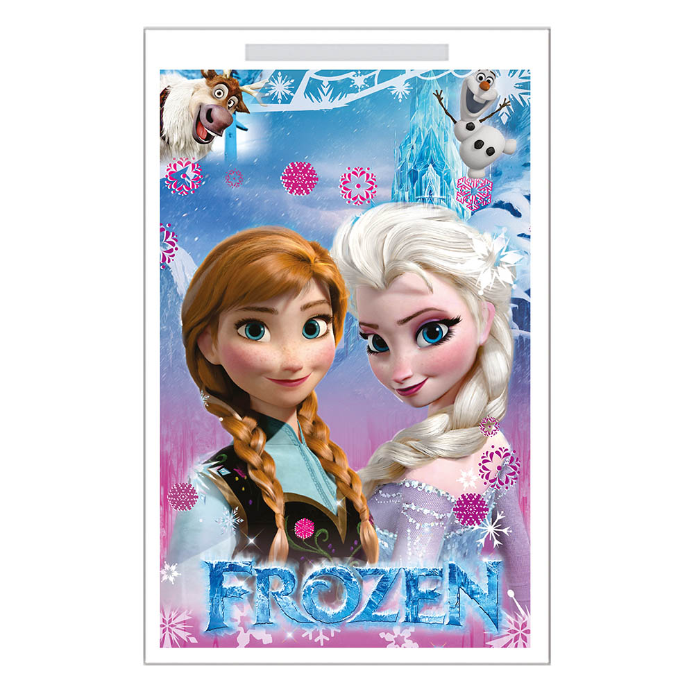 BOLSA X 20 FROZEN 