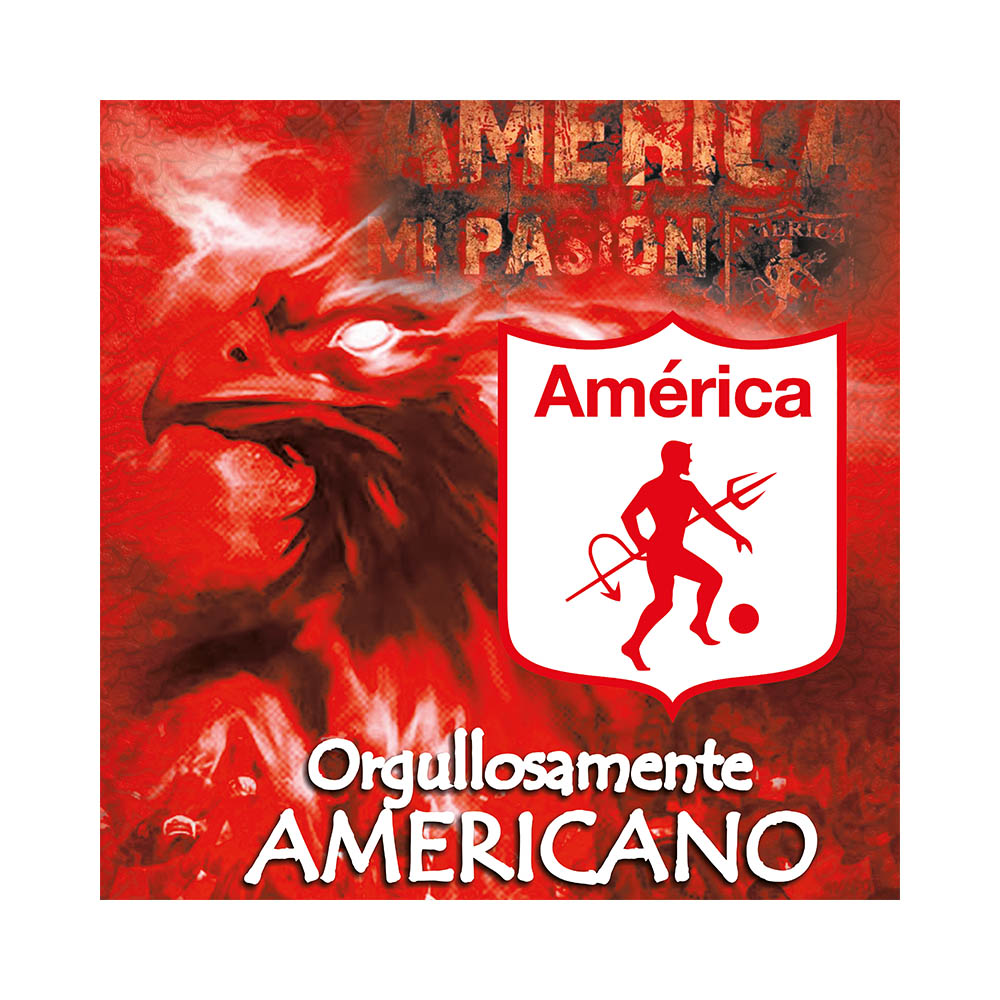 AMERICA
